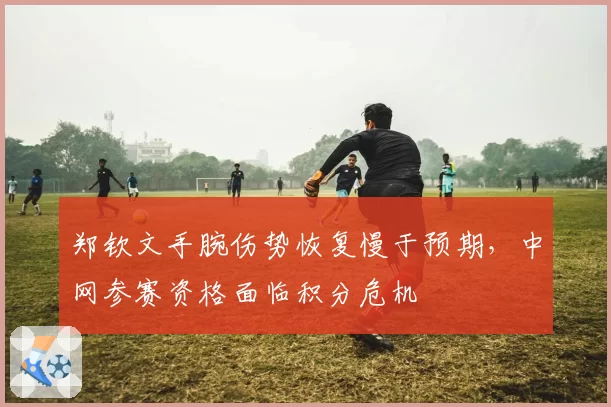 郑钦文手腕伤势恢复慢于预期,中网参赛资格面临积分危机