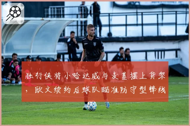 独行侠将小哈达威与麦基摆上货架，欧文续约后球队瞄准防守型锋线
