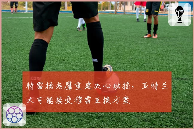 特雷杨老鹰重建决心动摇，亚特兰大可能接受穆雷互换方案