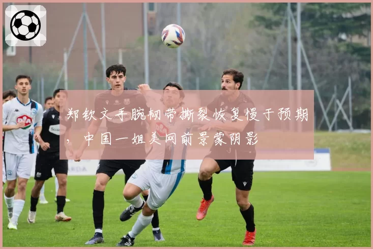 郑钦文手腕韧带撕裂恢复慢于预期，中国一姐美网前景蒙阴影
